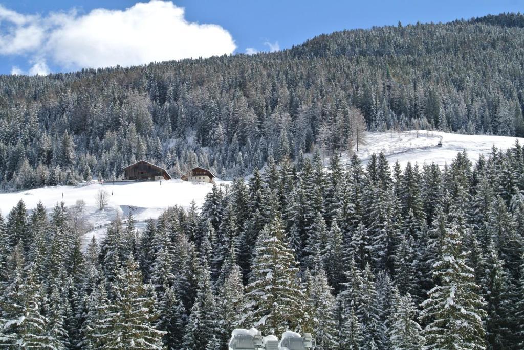 Feldrand Weissenbach